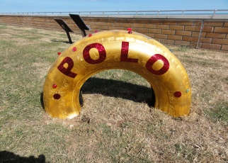 Polo